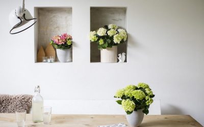 Interieurstylen met de Hortensia