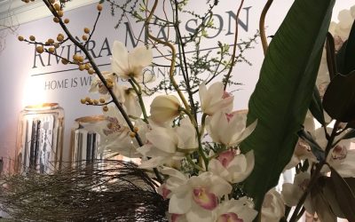 Cymbidium en Rivièra Maison – Elegant en Style