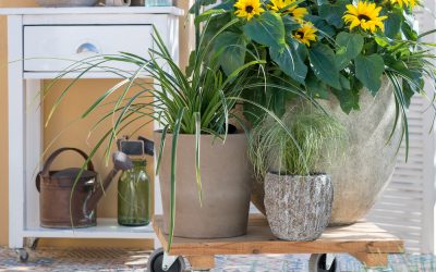 5 praktische tips voor nog meer tuinplezier