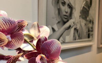 Orchideeën zijn hip en maken happy