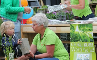 Groene Tuinactie: “tegel eruit, plant erin”