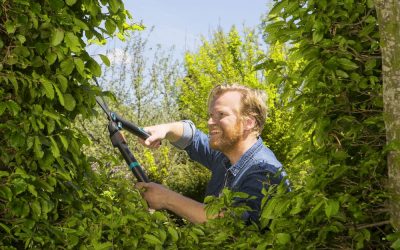 De nieuwe collectie heggenscharen van Gardena