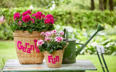 Vier de zomer op eigen balkon en terras