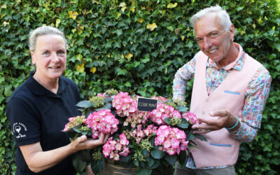 Wat goed! Meilandjes dopen eigen tuinhortensia