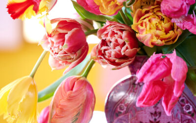 Tulpen: tijdloos en trendy