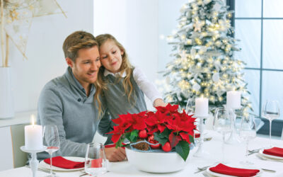 Feestelijke tafelsettings met kerststerren