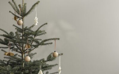 Stijlvol feest met kerstcollectie blomus